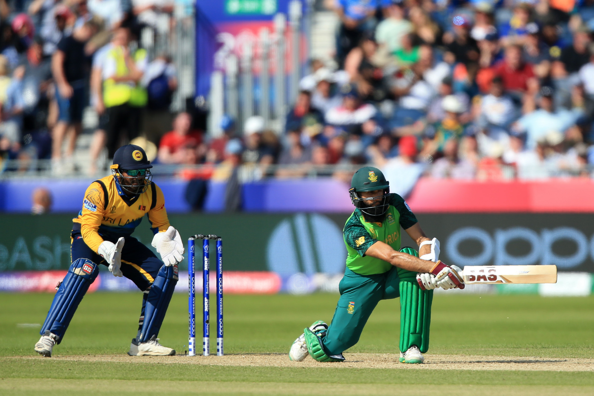 Hashim Amla also starred with the bat as South Africa inflicted a defeat on Sri Lanka which dents their hopes of reaching the semi-finals ©Getty Images