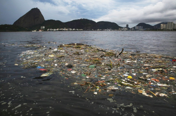 Brazilian politician accused of undermining effort to clean Guanabara Bay by "publicity-seeking" jump into water