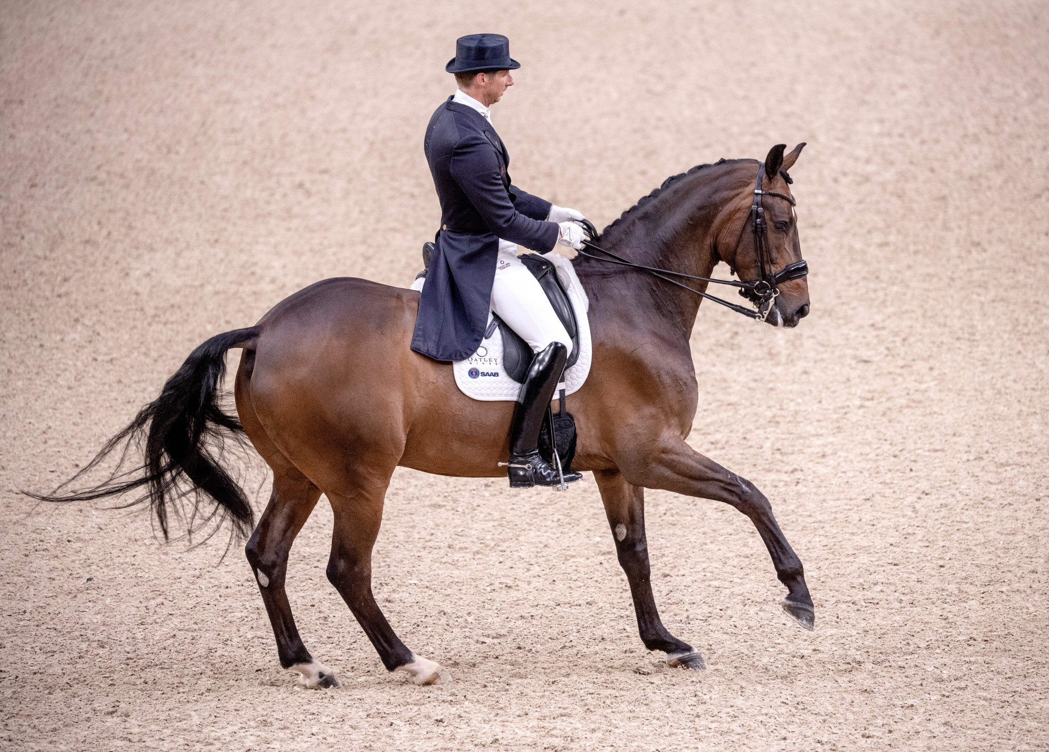 Sweden triumph on home soil at FEI Dressage Nations Cup