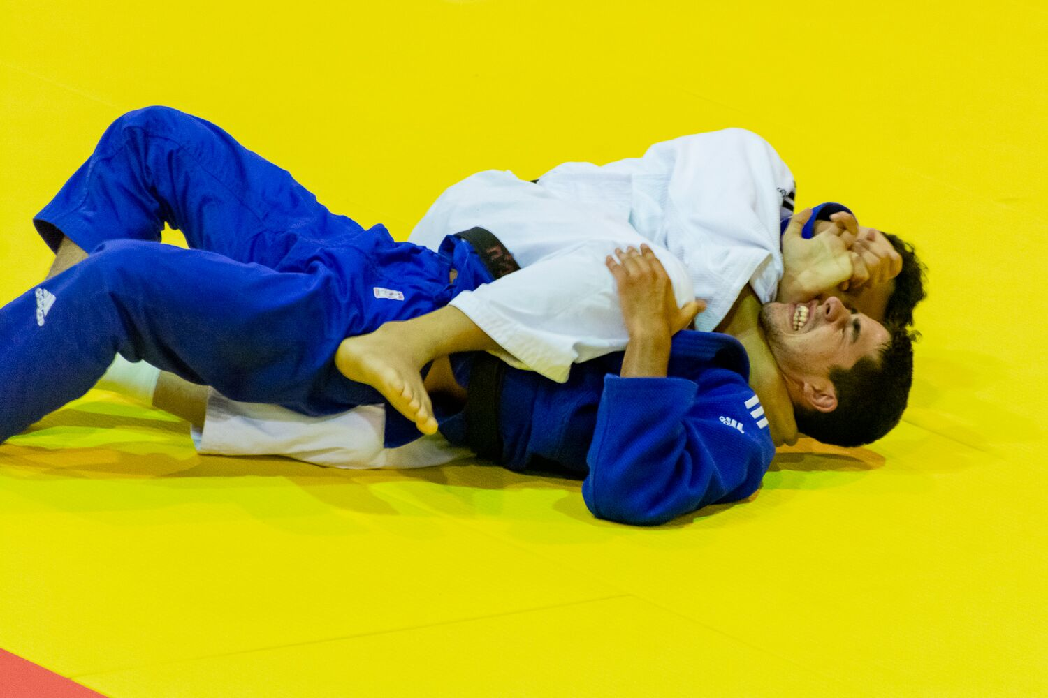 A total of 12 gold medals were won across judo today ©Pacific Games News Service