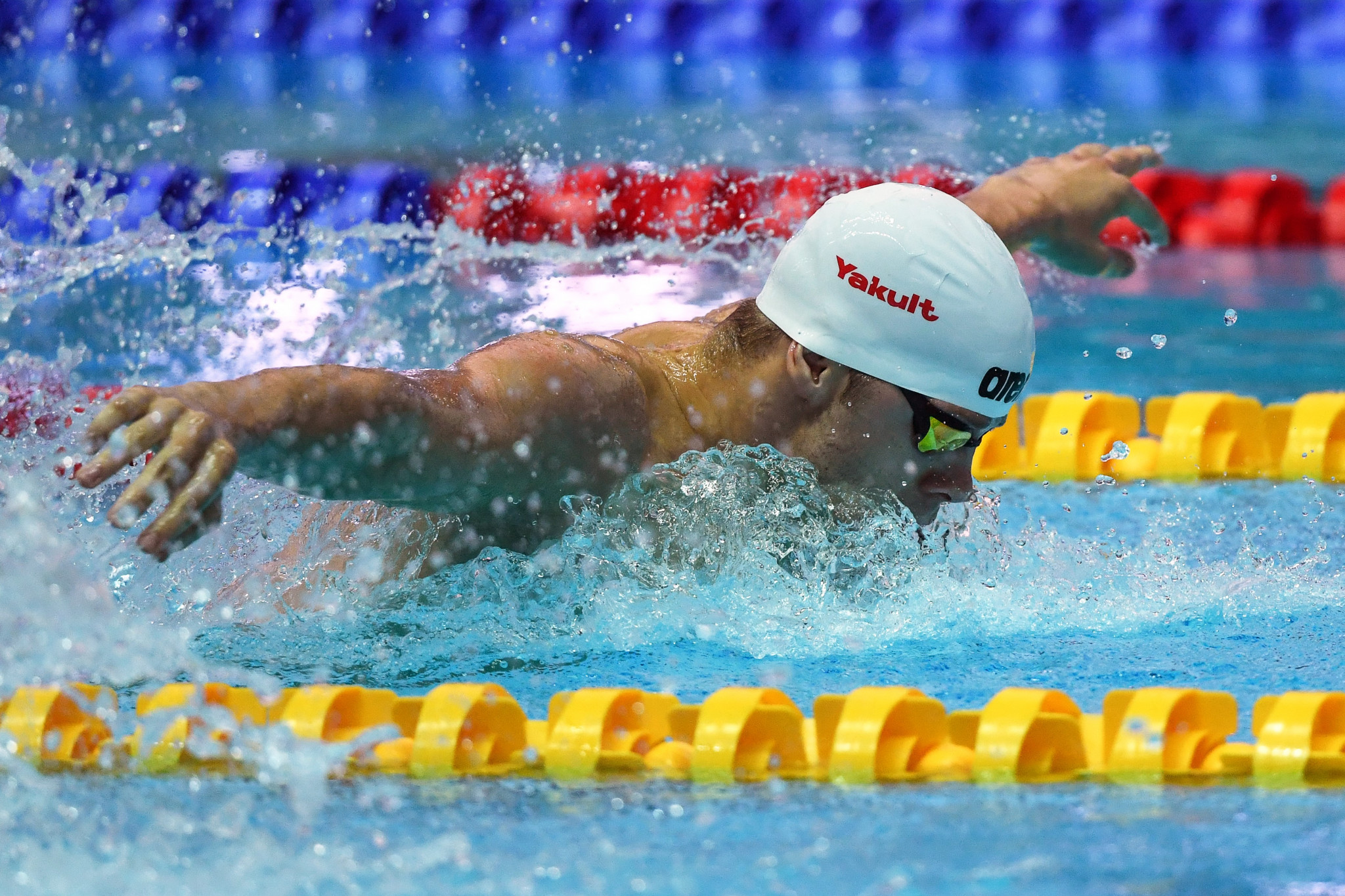 The Hungarian has been competing at the FINA World Aquatics Championships in Gwangju ©Getty Images