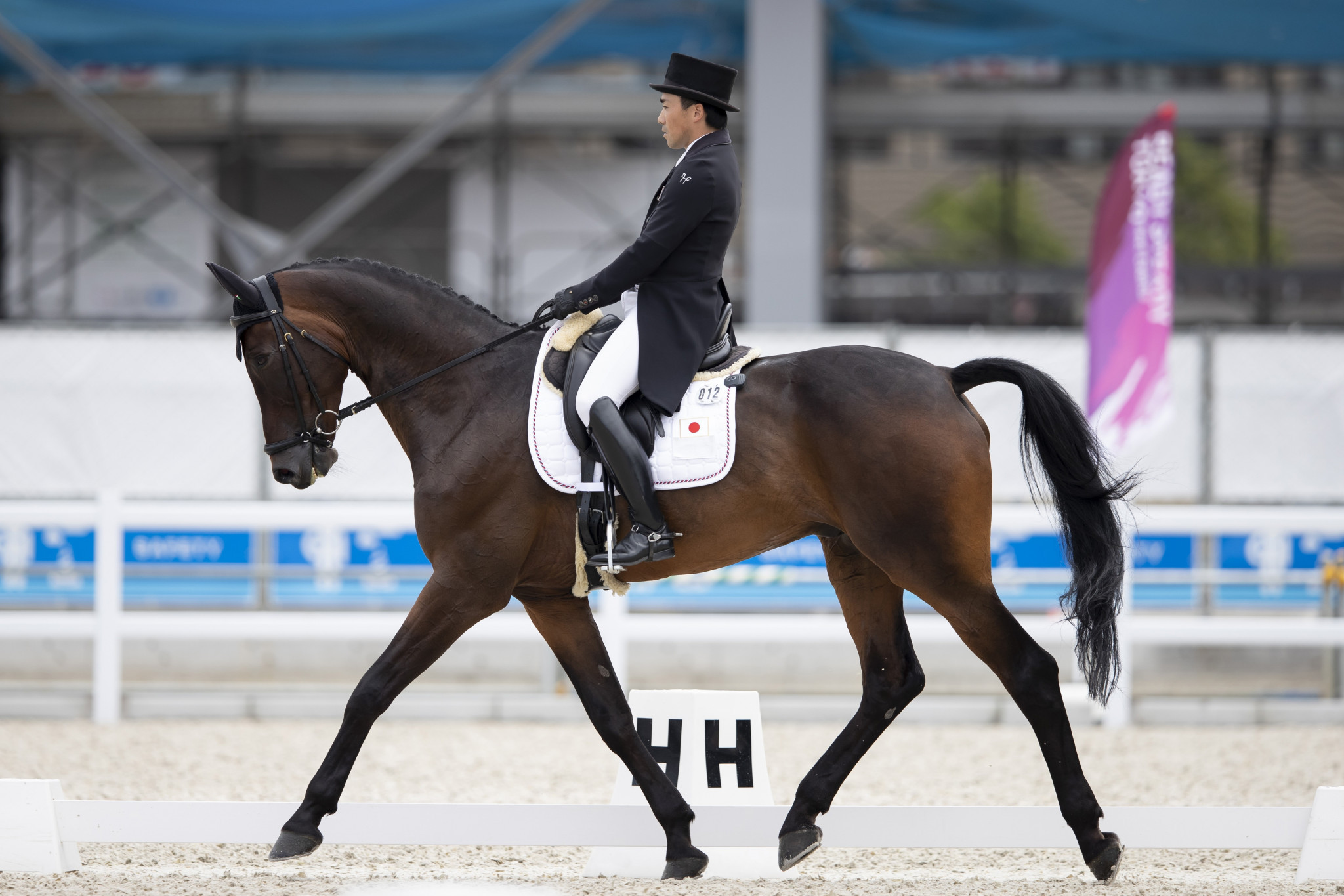 Japan’s Yoshiaki Oiwa has put down a strong marker for the home side by taking the early lead after today’s dressage phase at the equestrian test event for the Tokyo 2020 Olympic Games ©FEI/Yusuke Nakanishi