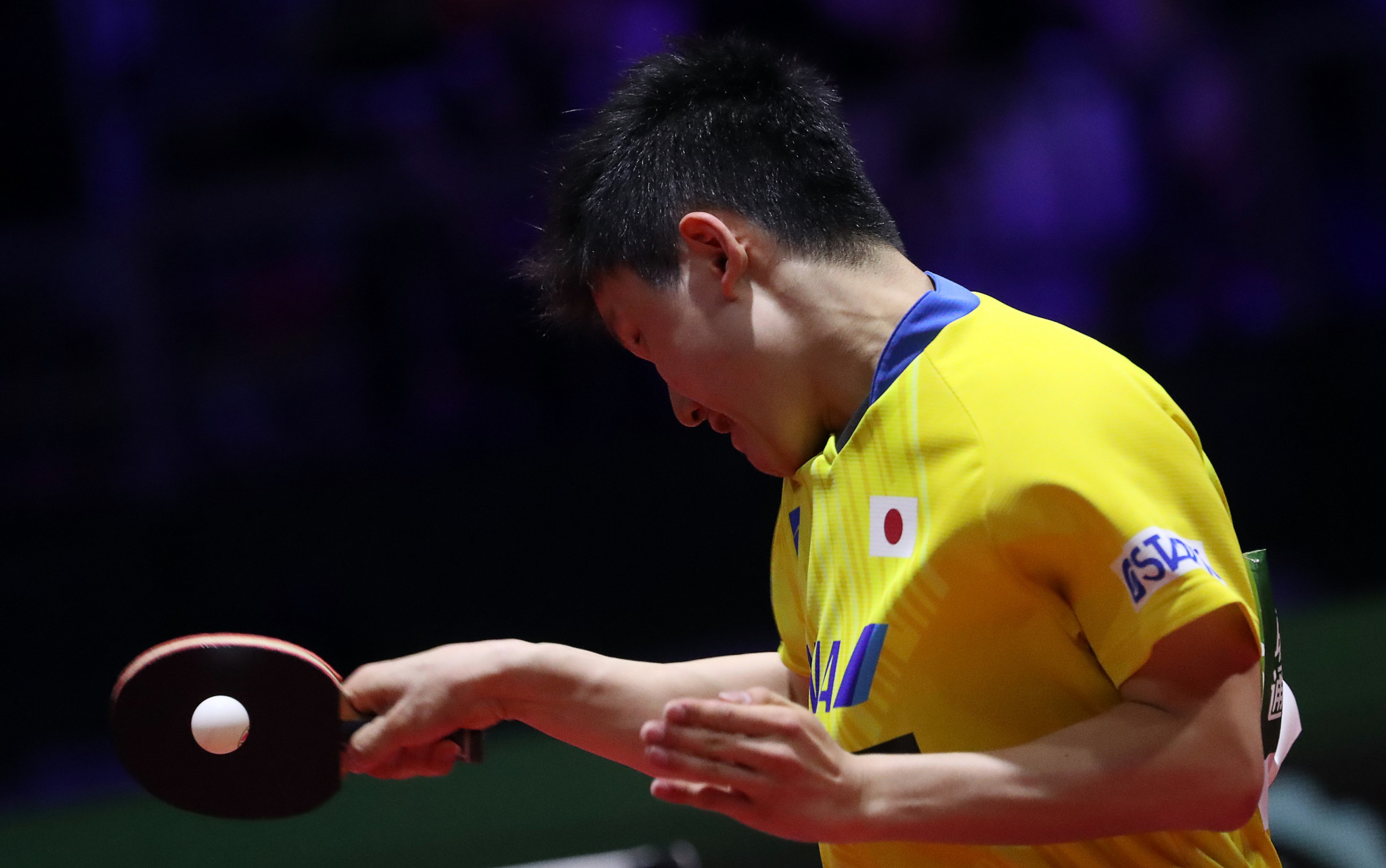 Harimoto looking to continue winning feeling at ITTF Czech Open