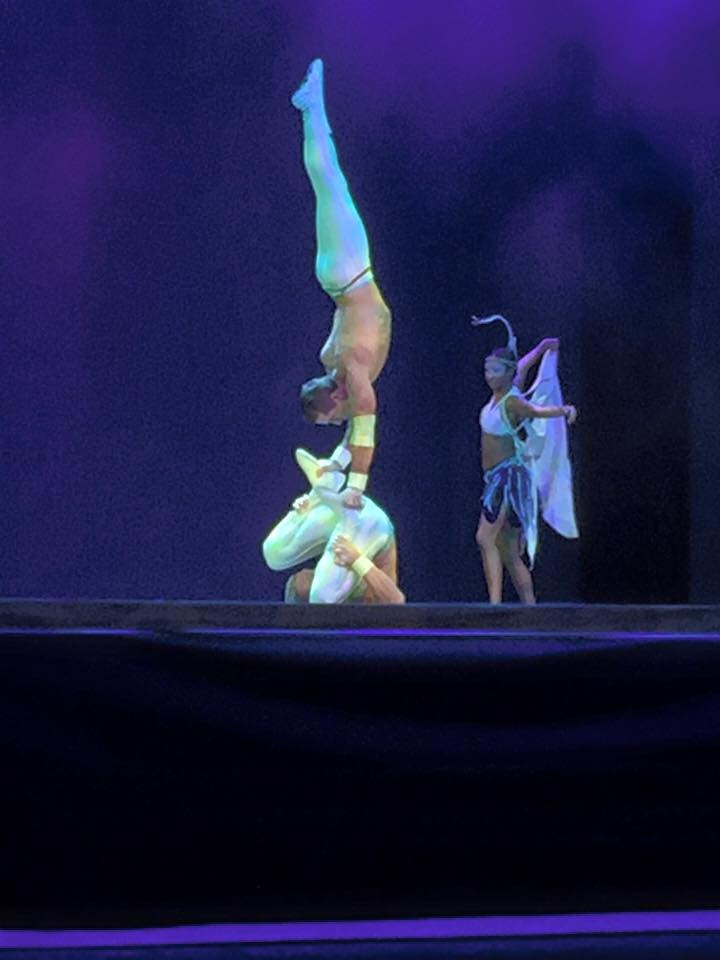 Entertainment included a performance of Mystére by Cirque Du Soleil ©IWF/Facebook