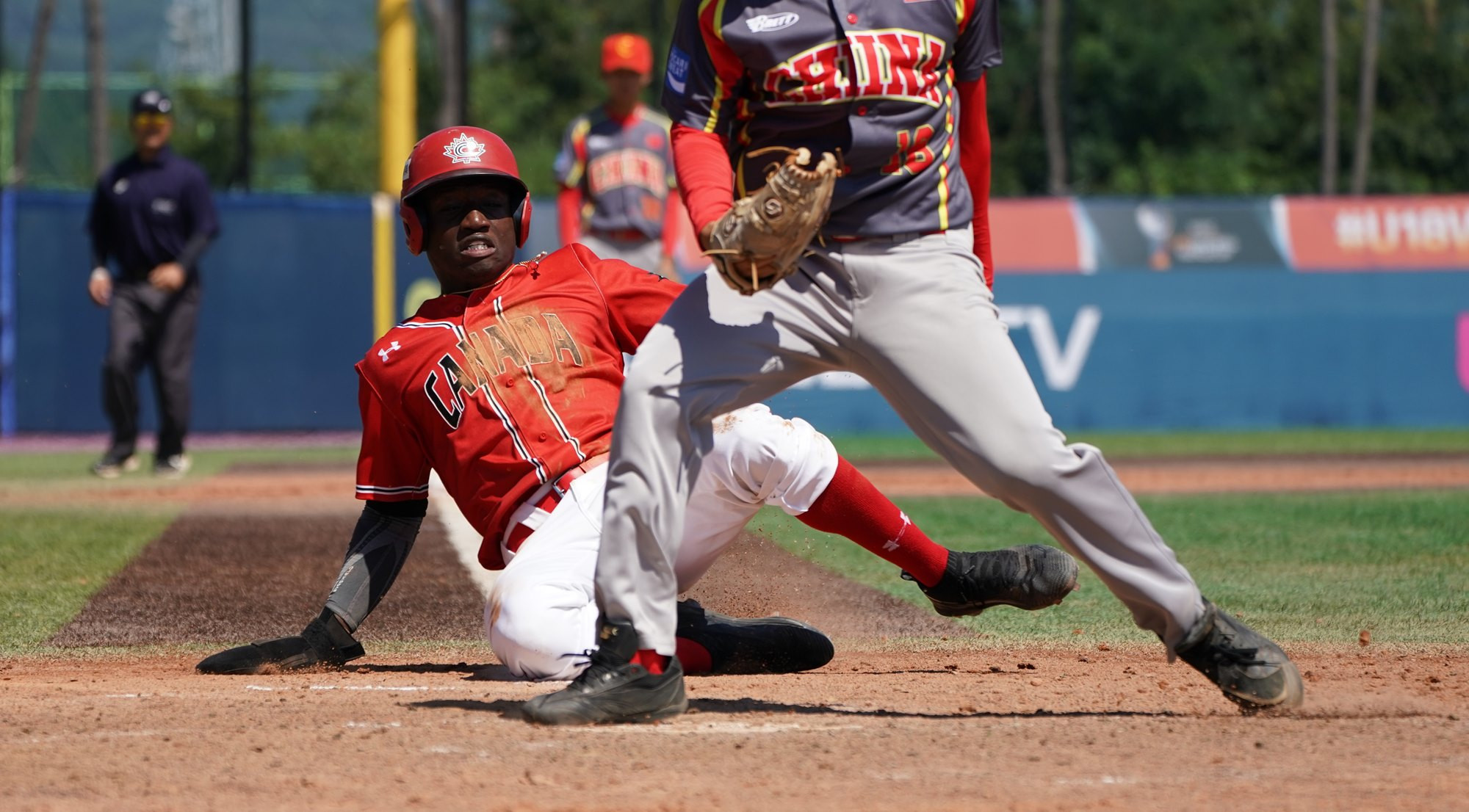 United States thrash South Africa at WBSC Under-18 Baseball World Cup