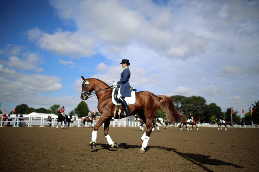 Exclusive: UK Sport to help fund bid to host key European equestrian event at Stoneleigh Park 