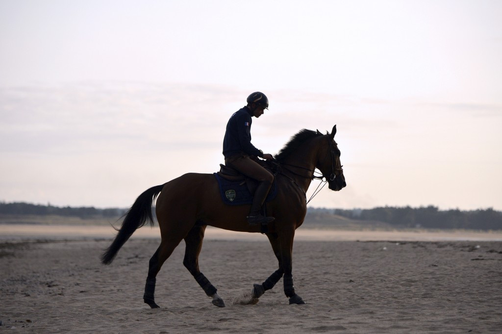 Livio's horse Qalao des Mers tested positive for a controlled medical substance after last year's World Equestrian Games