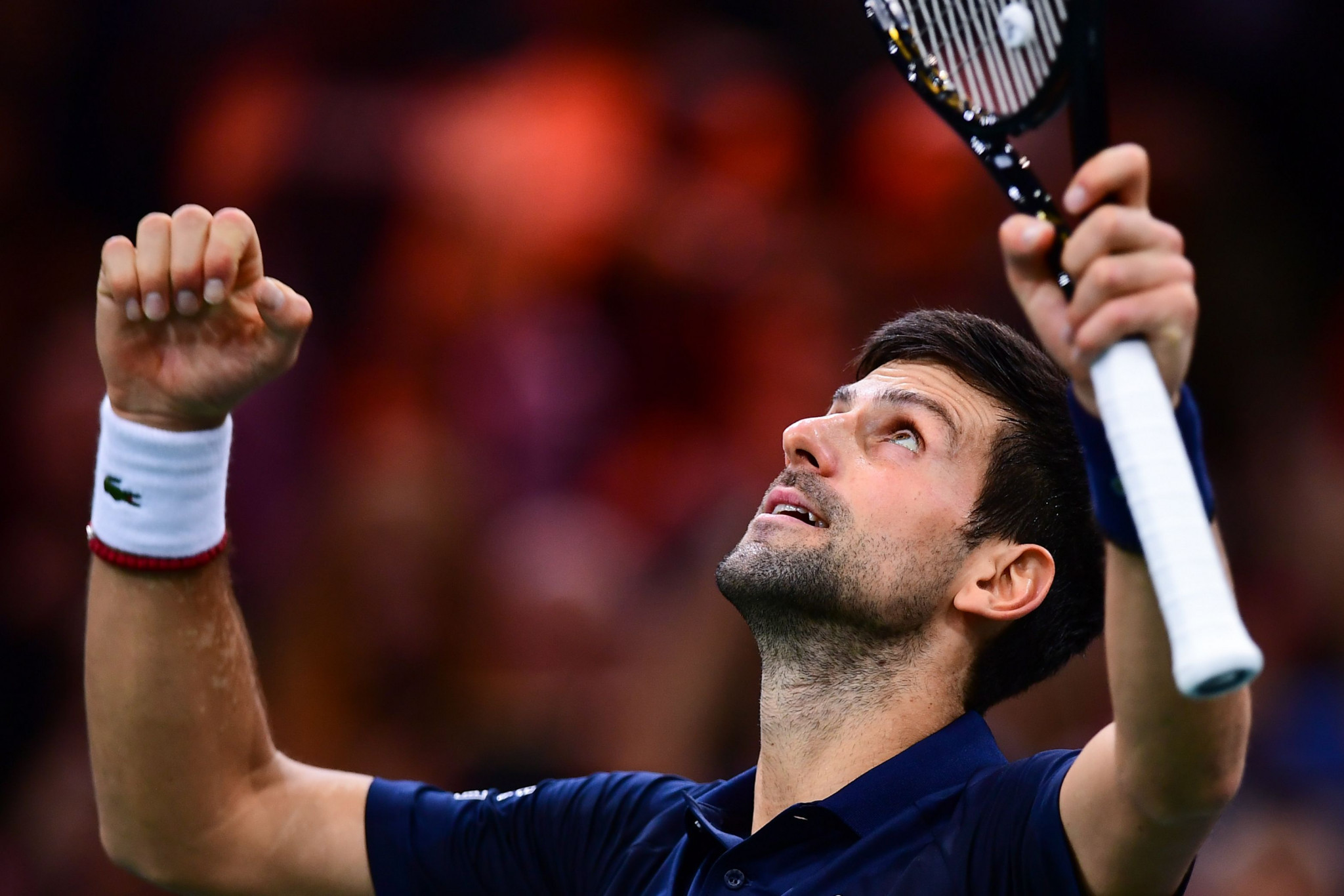 Novak Djokovic is looking to claim a fifth title at the Paris Masters ©Getty Images