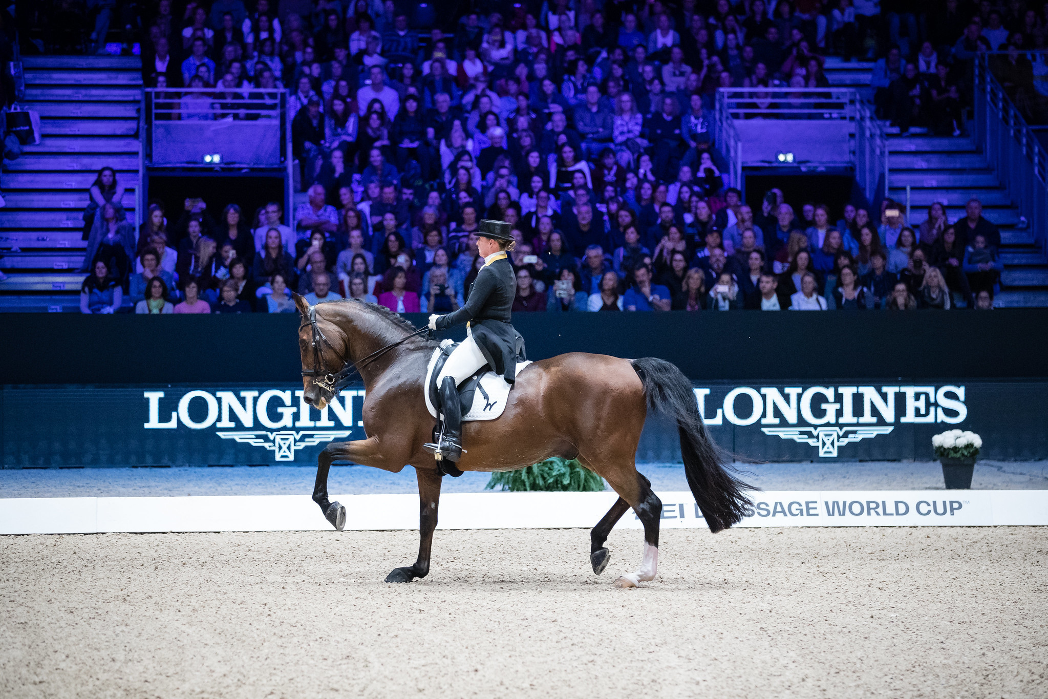 Werth wins Dressage World Cup title in Lyon for third time in a row