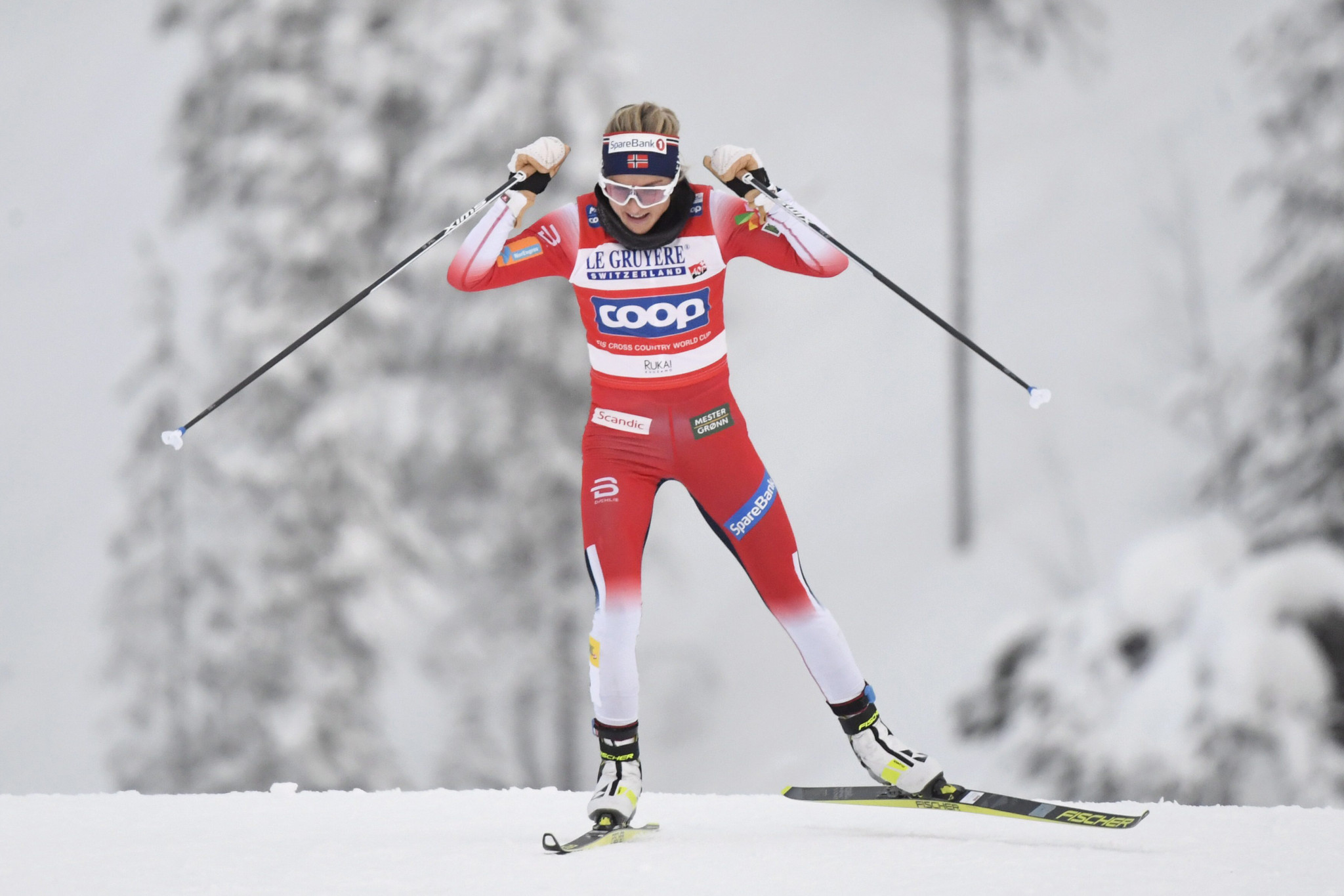 Therese Johaug eased to victory in the women's pursuit event in the FIS Cross-Country World Cup at Ruka ©Getty Images