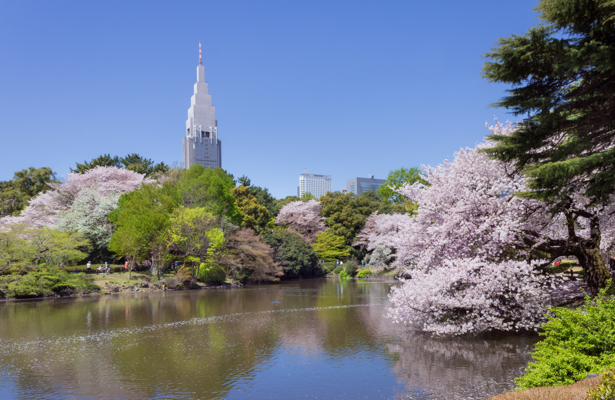 The festival will take place in the Landscape Garden at Shinjuku Gyoen National Garden in Tokyo ©Wikipedia