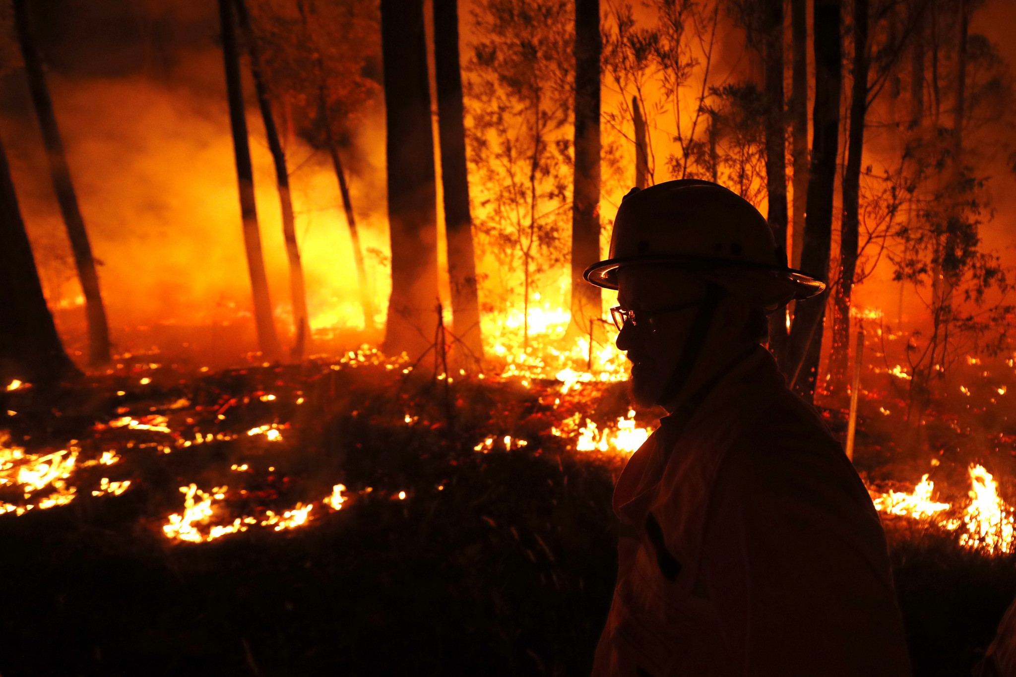Parts of Australia have been ravaged by bushfires ©Getty Images