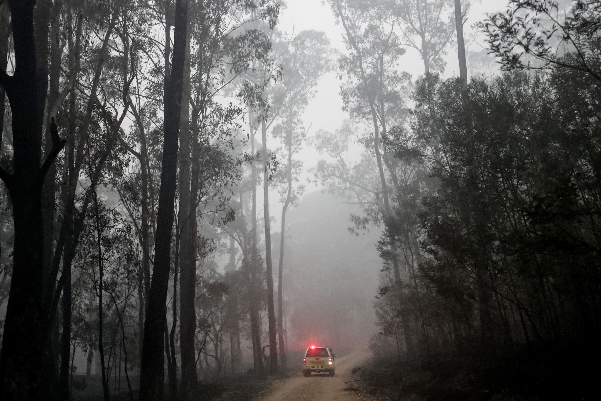 Bushfires have heavily impacted south-eastern Australia ©Getty Images