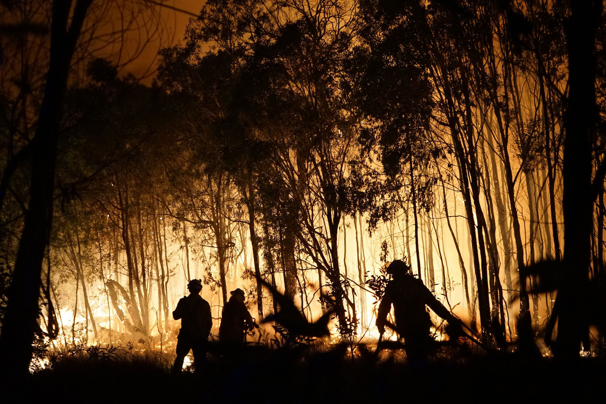 Queensland has been affected by the bushfires engulfing Australia but not as badly as other parts of the country ©Getty Images