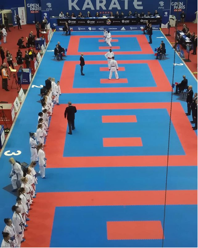 Hosts France qualify two athletes for finals on day one of Karate 1-Premier League in Paris
