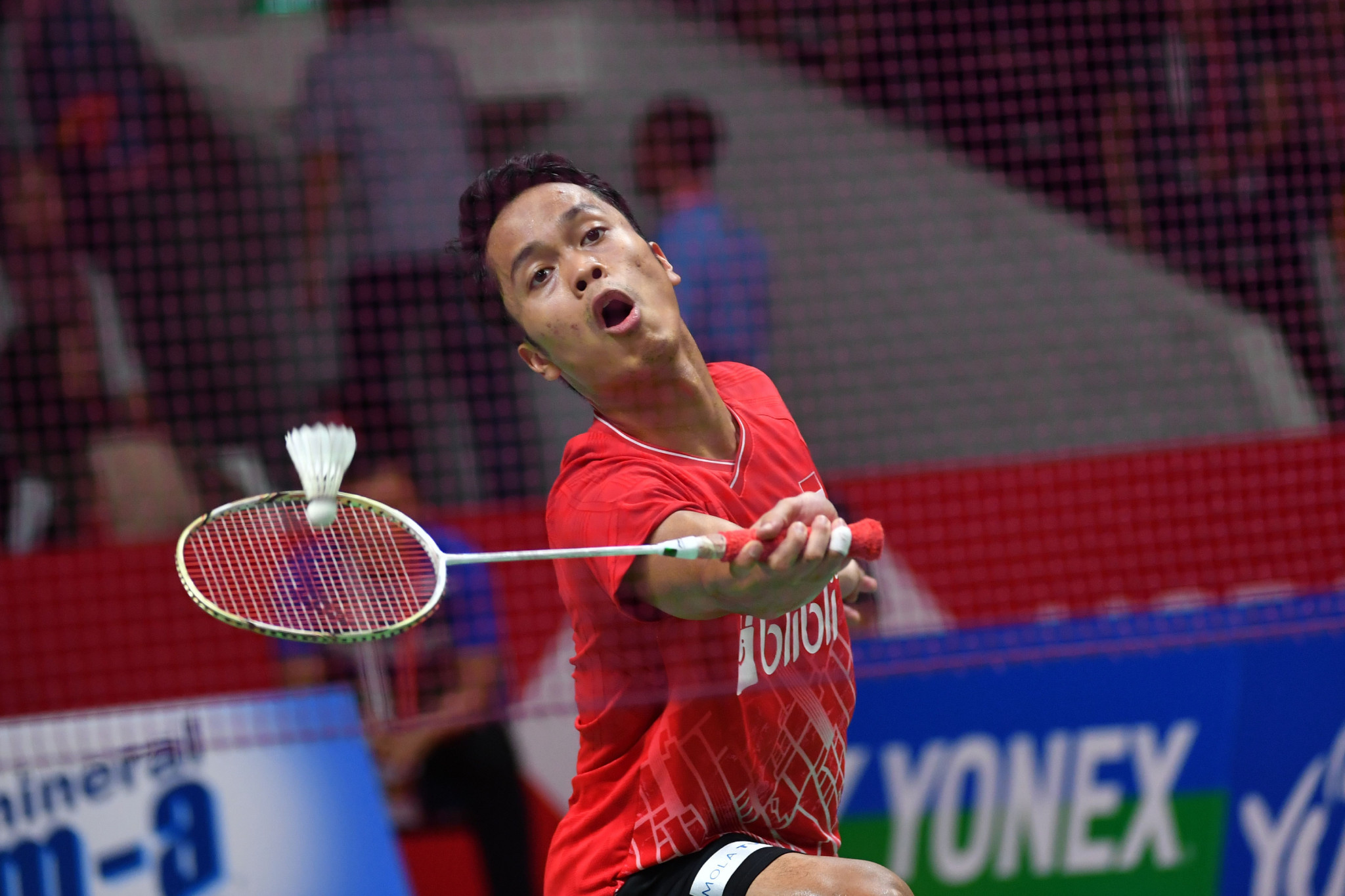 Anthony Sinisuka Ginting set Indonesia on their way to victory over South Korea at the Badminton Asia Team Championships today ©Getty Images