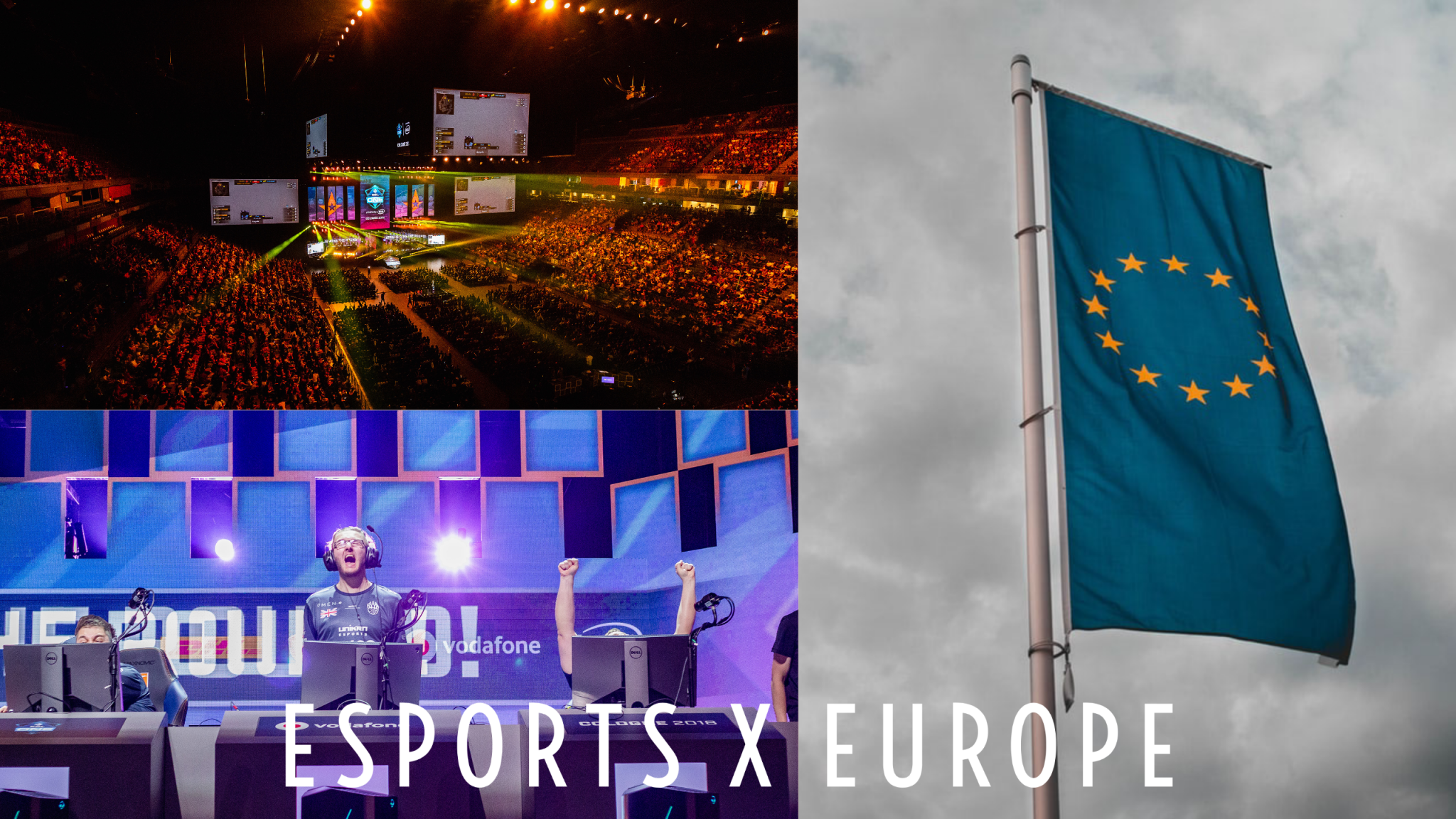 The EEF brings together individual national representations of esports and European esports stakeholders ©Esports Europe