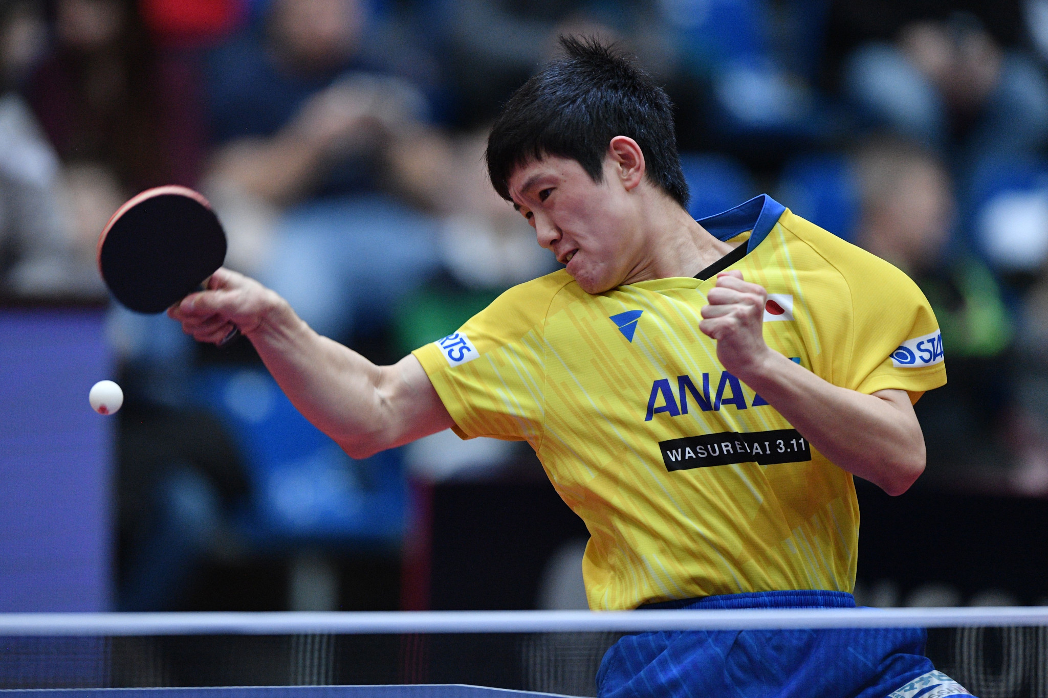 Men's singles top seed Tomokazu Harimoto reached the last eight on a successful day for Japan ©Getty Images