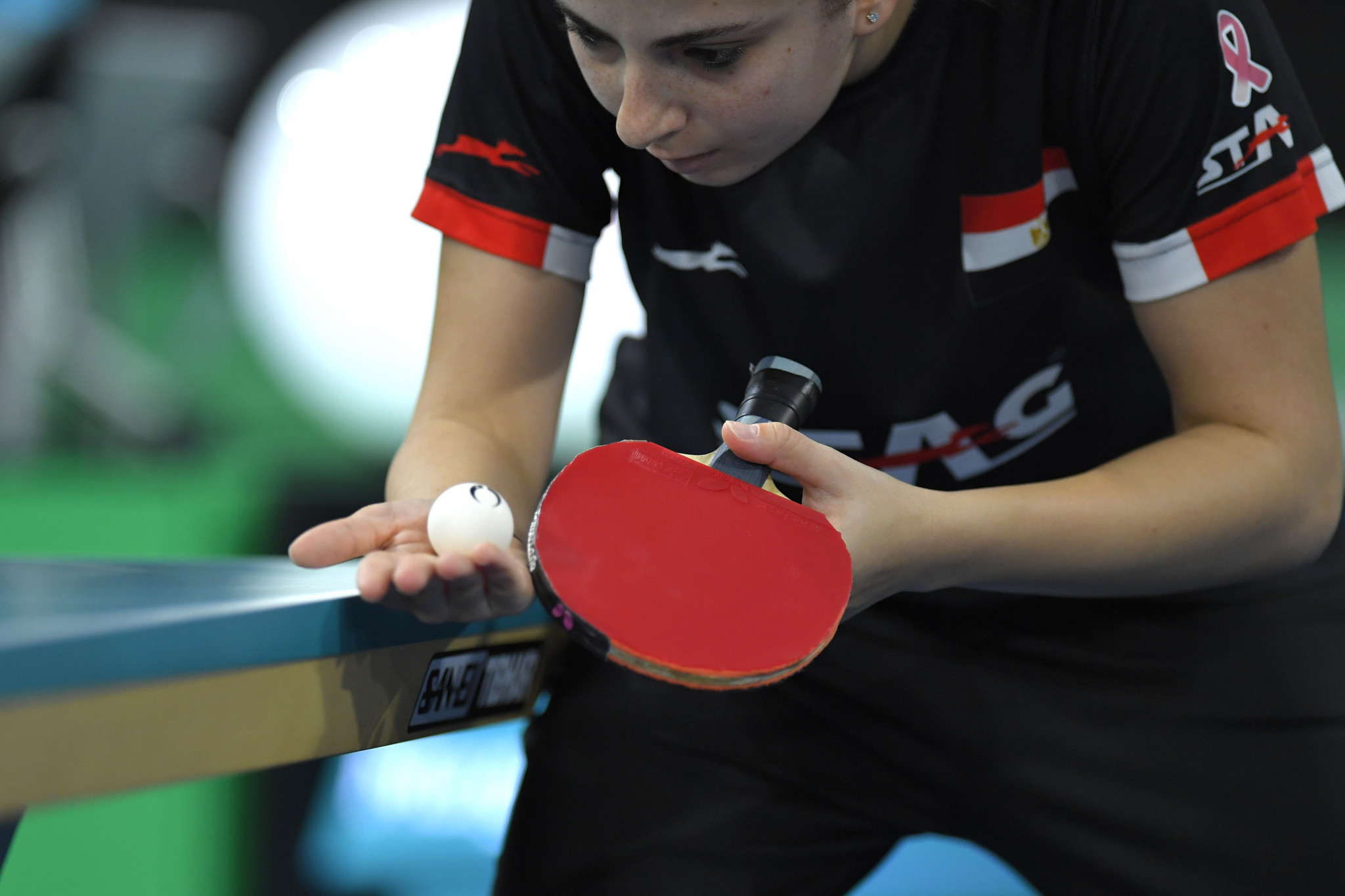 Egypt's Dina Meshref secured her fourth consecutive women's singles title ©Getty Images
