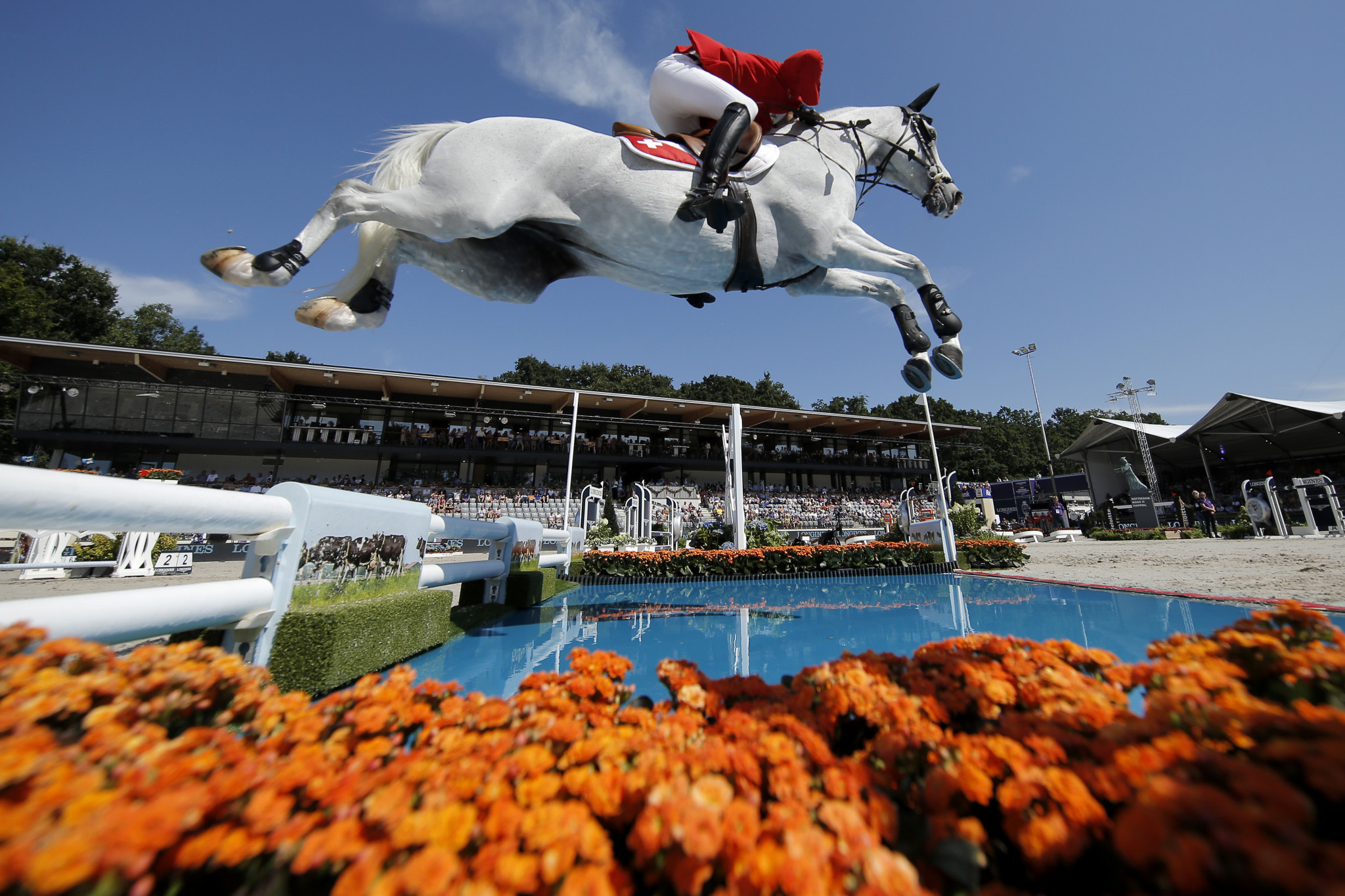 FEI European Championships for Olympic and Paralympic disciplines in 2021 have been cancelled ©FEI