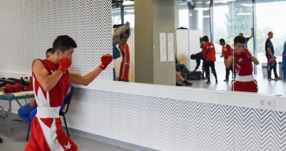A shadowboxing competition, to be held during the pandemic, has been approved ©EUBC