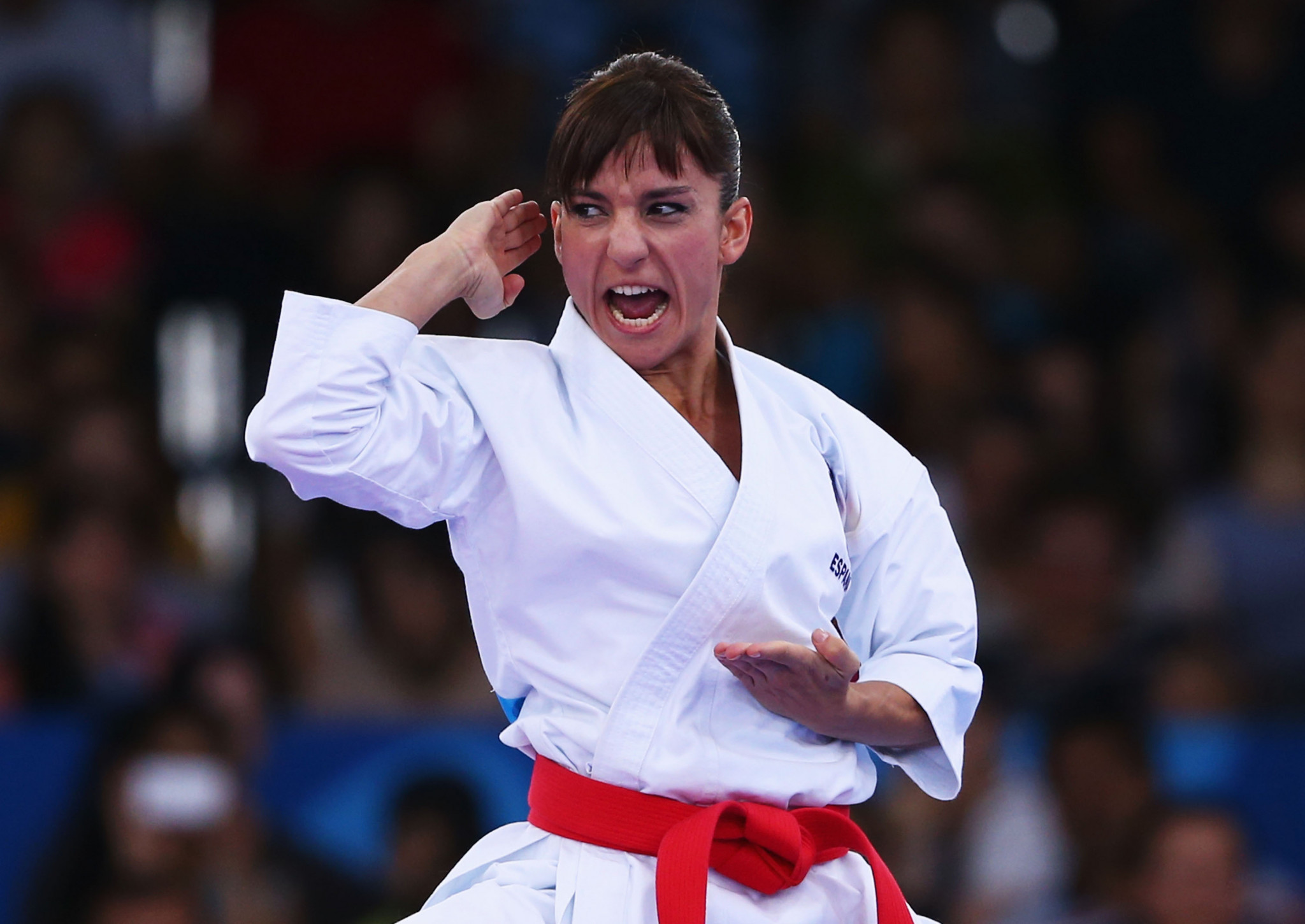 Karate must wait an extra year for its Olympic debut ©Getty Images