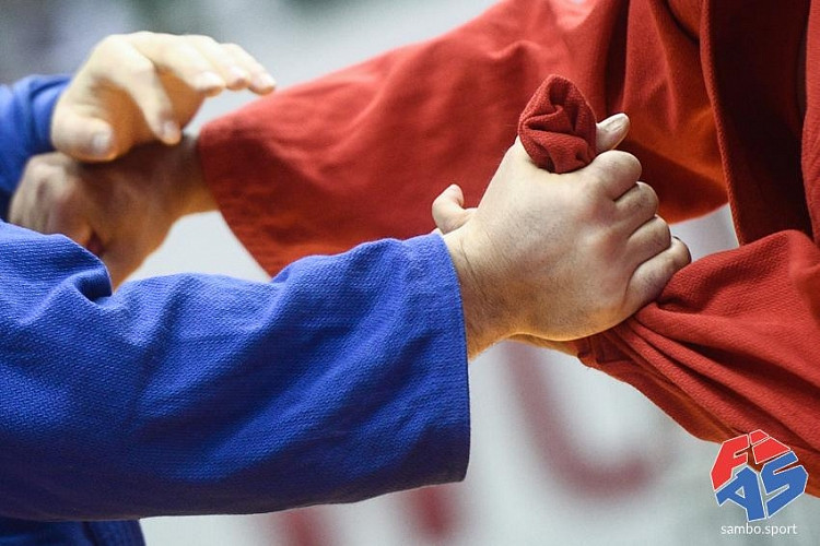 The International Sambo Federation has announced plans for its first-ever online tournament ©FIAS