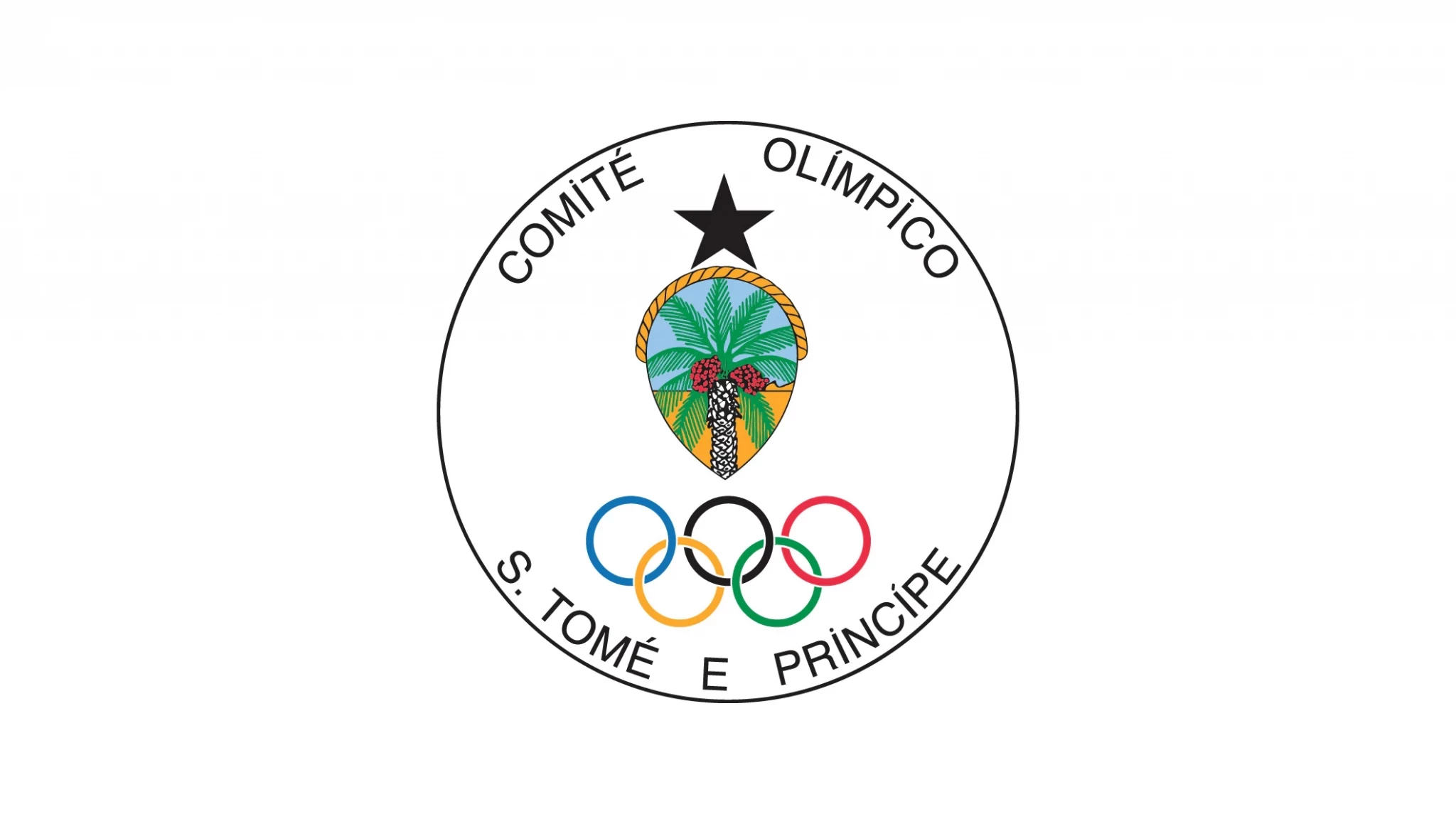 The São Tomé and Príncipe National Olympic Committee held a video conference to discuss the COVID-19 response ©COSTP