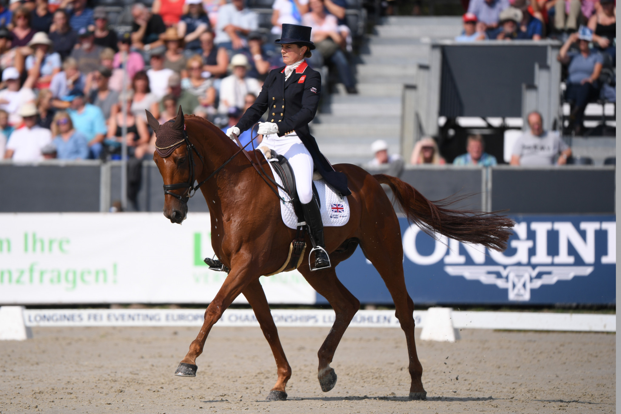 World Equestrian Games winning horse put down due to rare disease