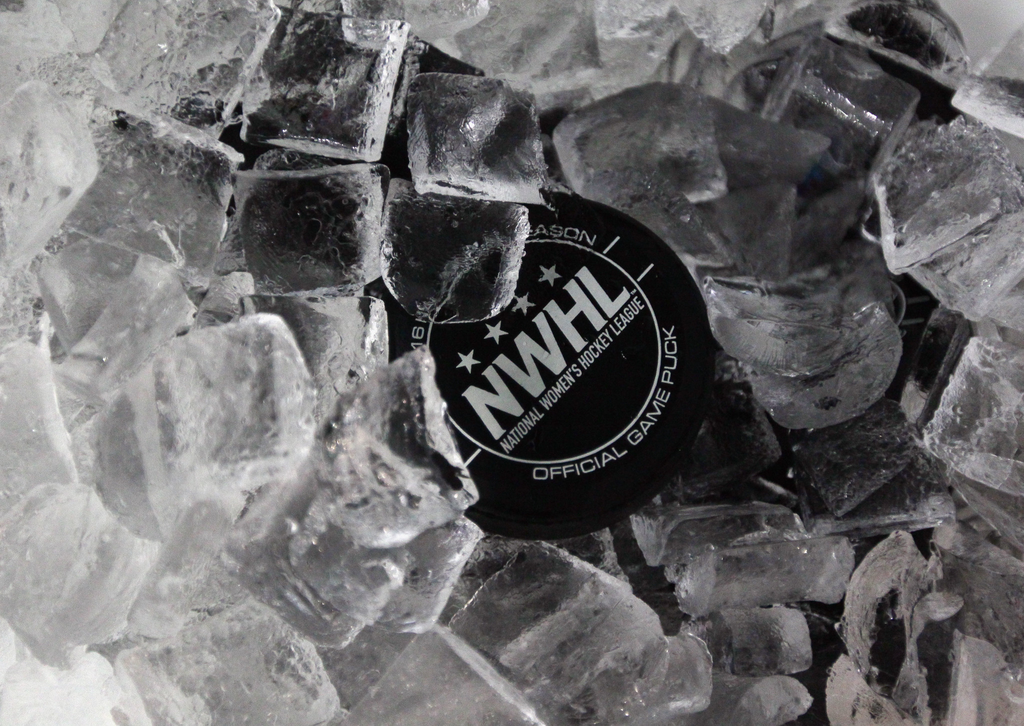 Pandemic delays new NWHL season until 2021