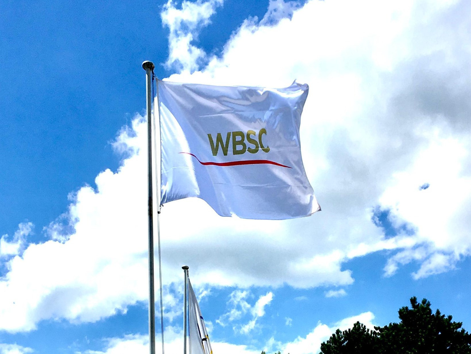WBSC Presidential Council discuss strategy for during and after coronavirus pandemic