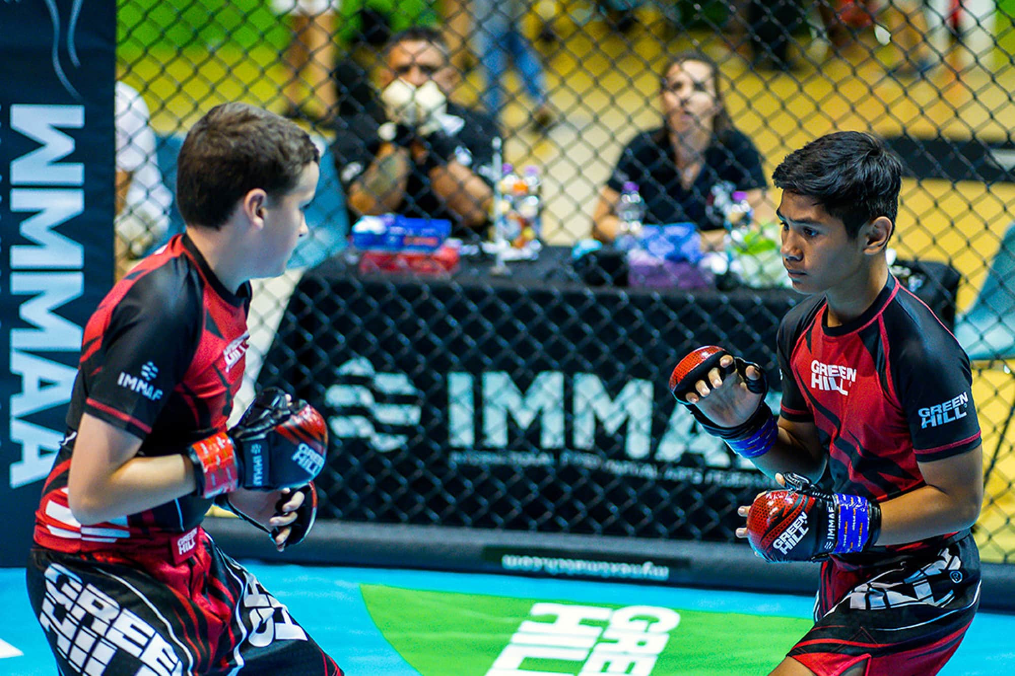 The IMMAF has so far been unable to receive Global Association of International Sports Federations recognition ©IMMAF