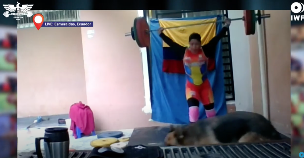 A dog made an appearance during the Online International Weightlifting Cup ©IWF