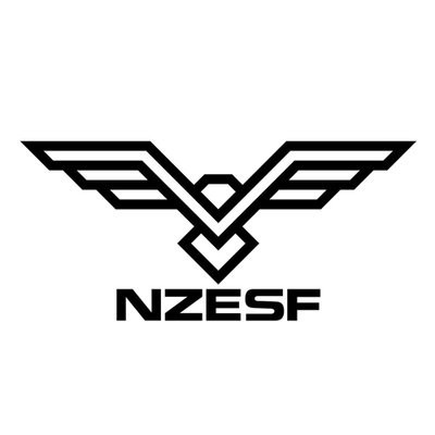 Matt Walsh has joined the New Zealand Esports Federation ©NZESF