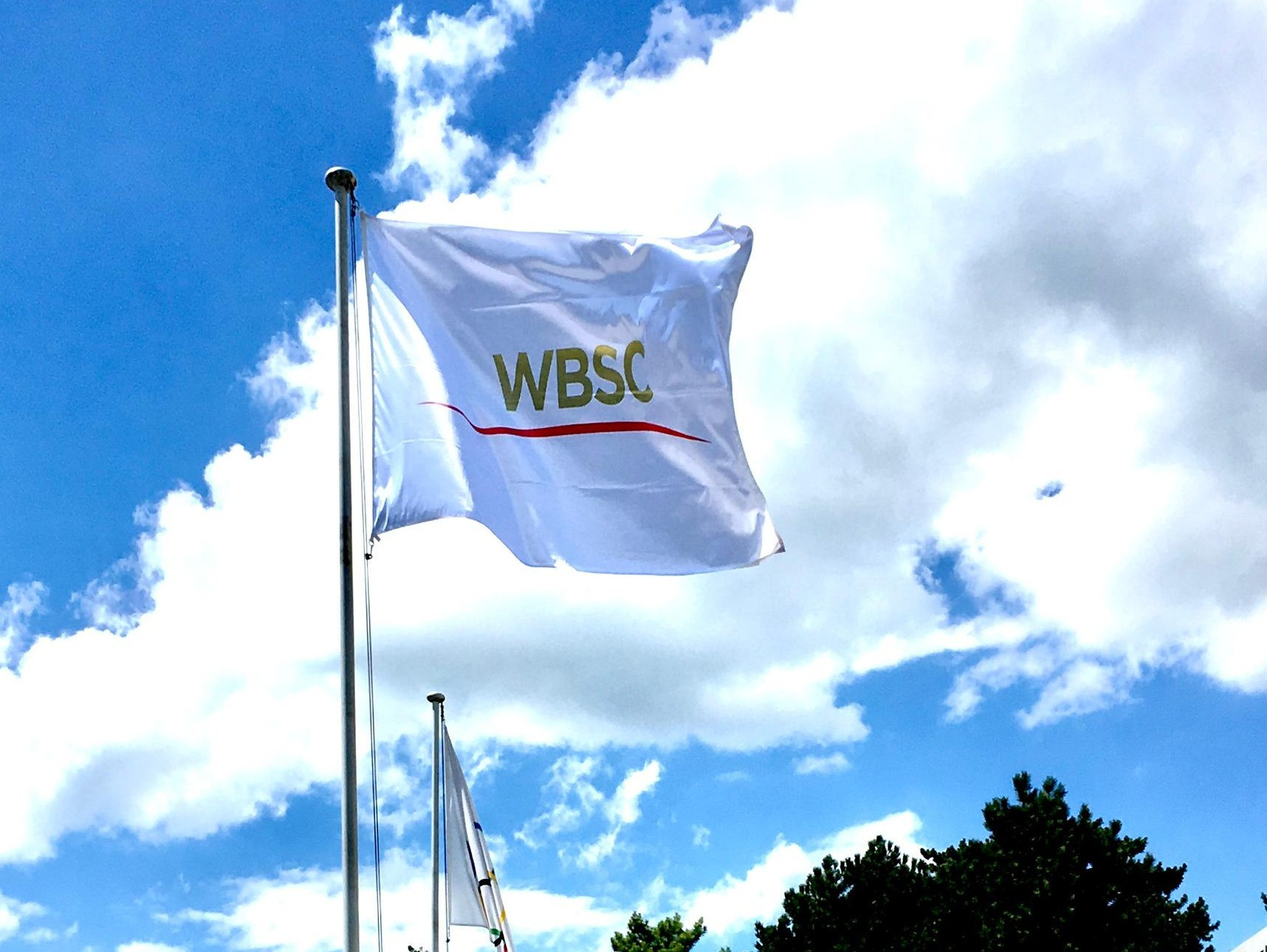 The WBSC has become the latest federation to create a dedicated integrity unit ©WBSC