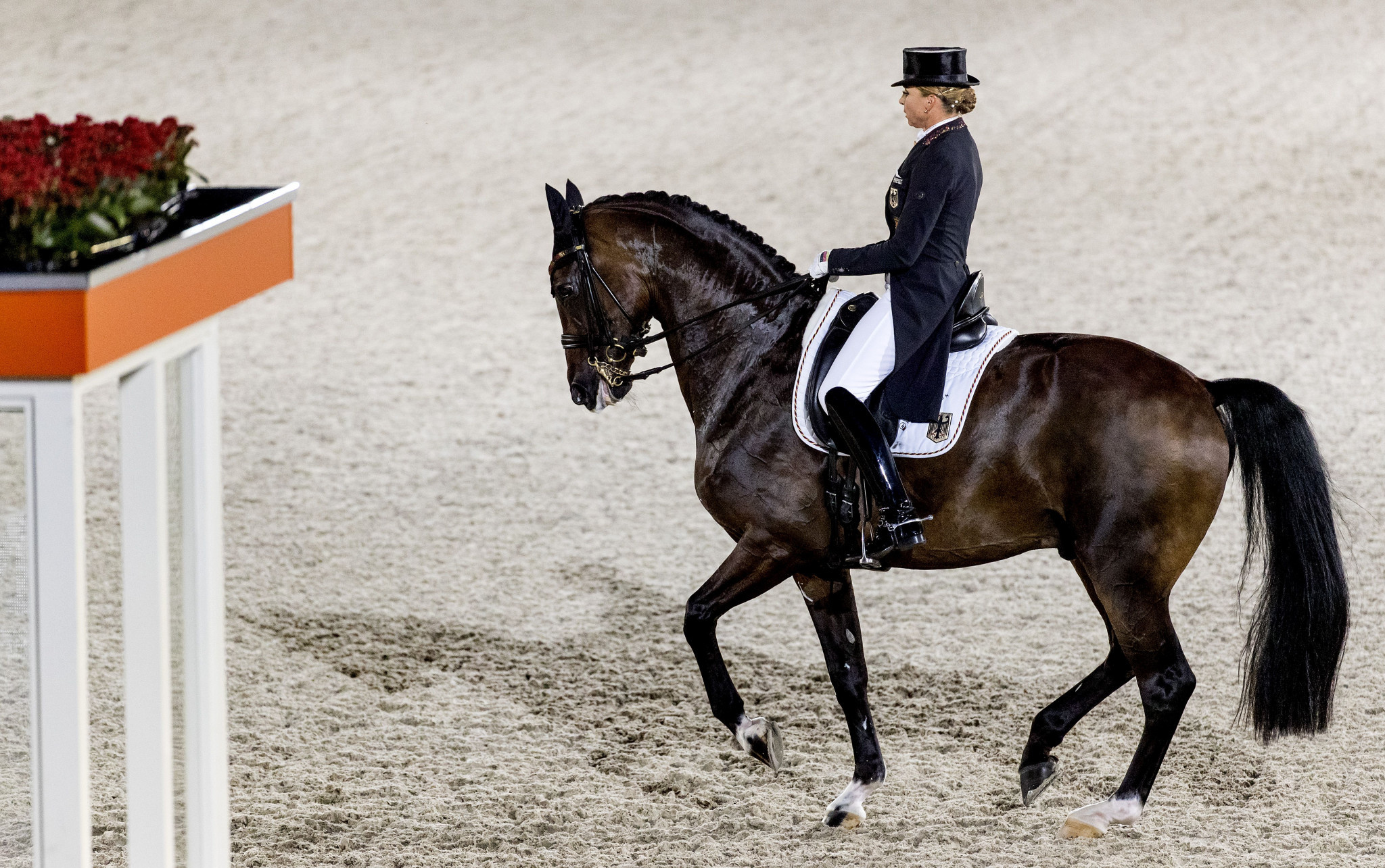 Hagen has been named as host of the 2021 European Dressage Championships ©Getty Images