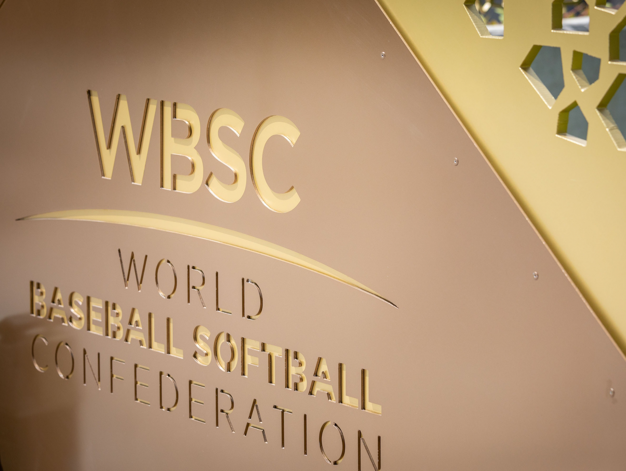 WBSC's e-learning platform will begin offering courses on November 2 ©WBSC
