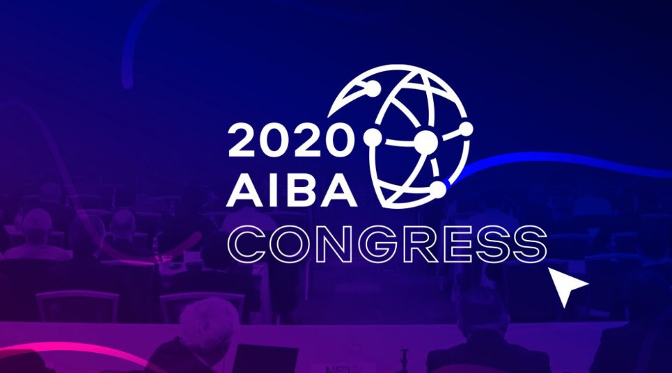 AIBA has approved changes to its constitution ©AIBA