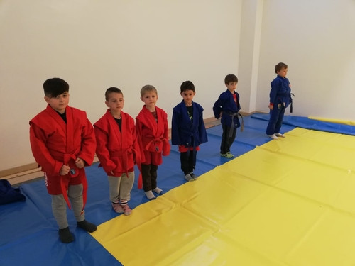 The Sambo to School programme has been deployed in Cyprus for the first time ©European Sambo Federation
