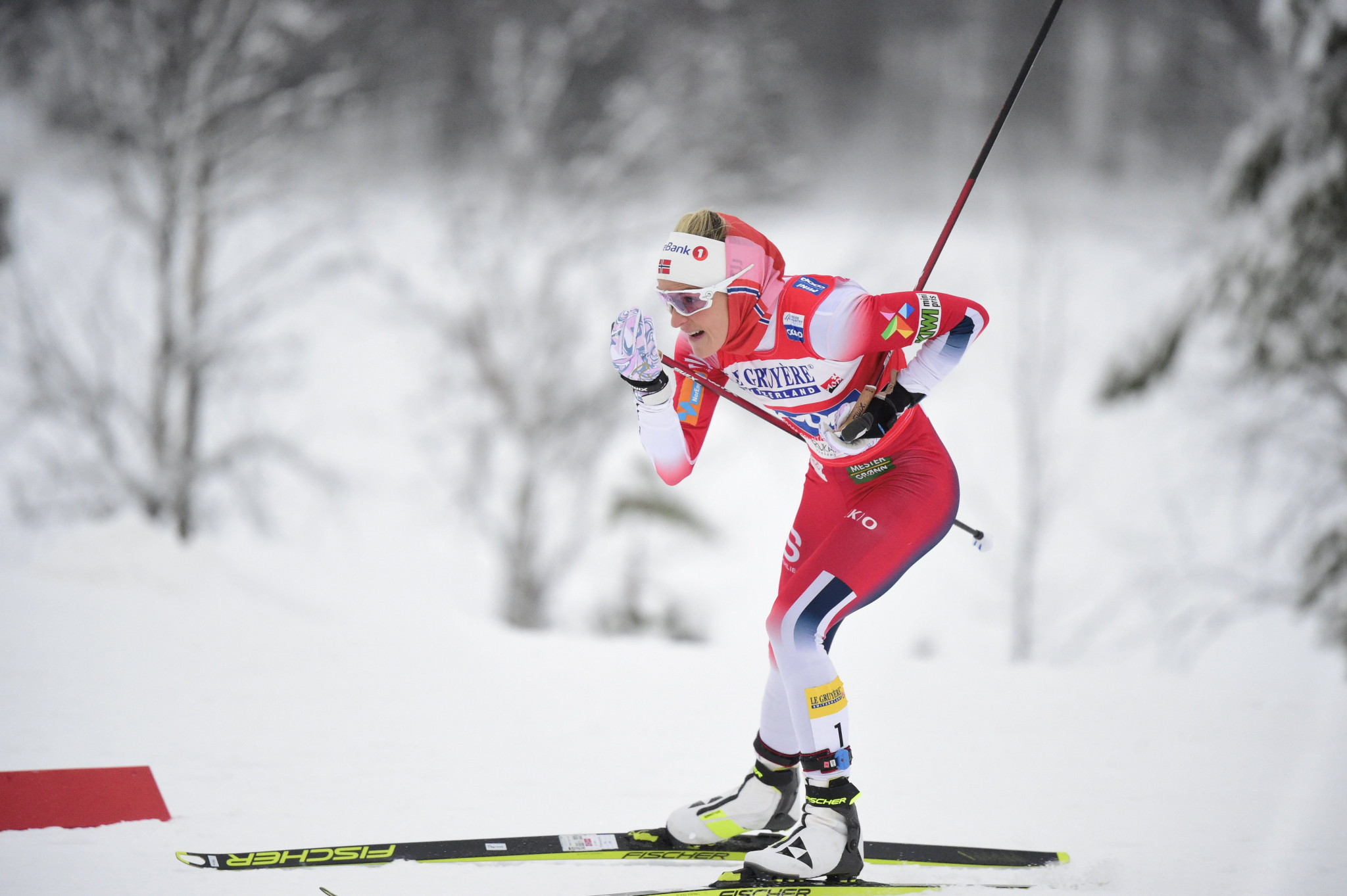 Therese Johaug and other members of the Norwegian national team may return to the World Cup in Lahti ©Getty Images