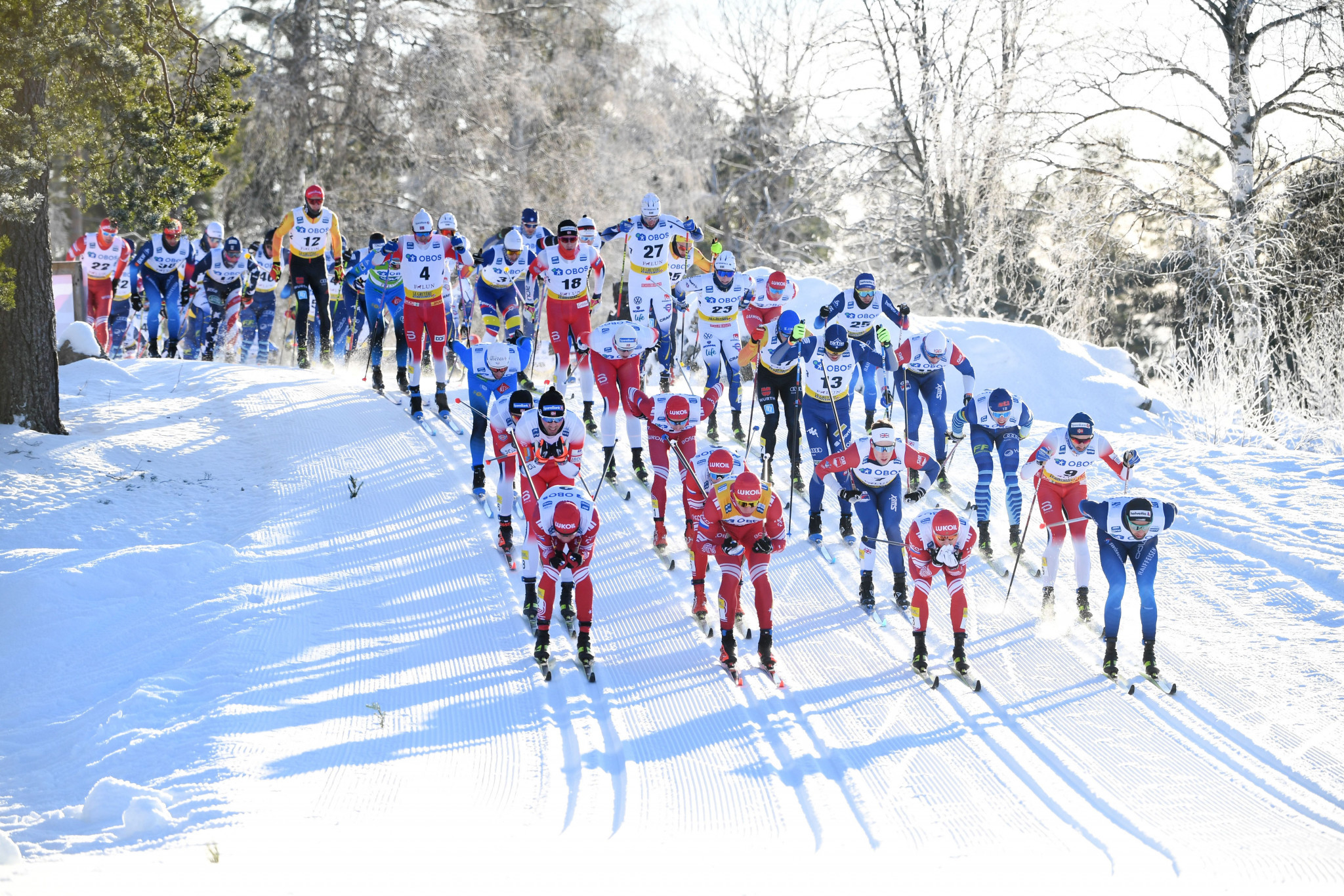 Cross Country Ski World Cup