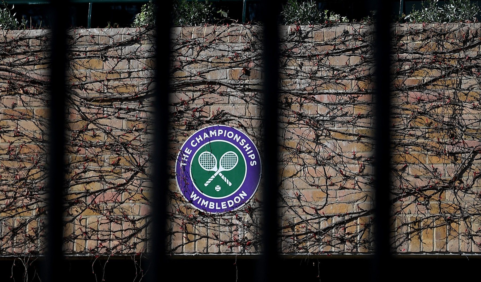 Wimbledon was cancelled in 2020 but there are hopes fans could return this year ©Getty Image