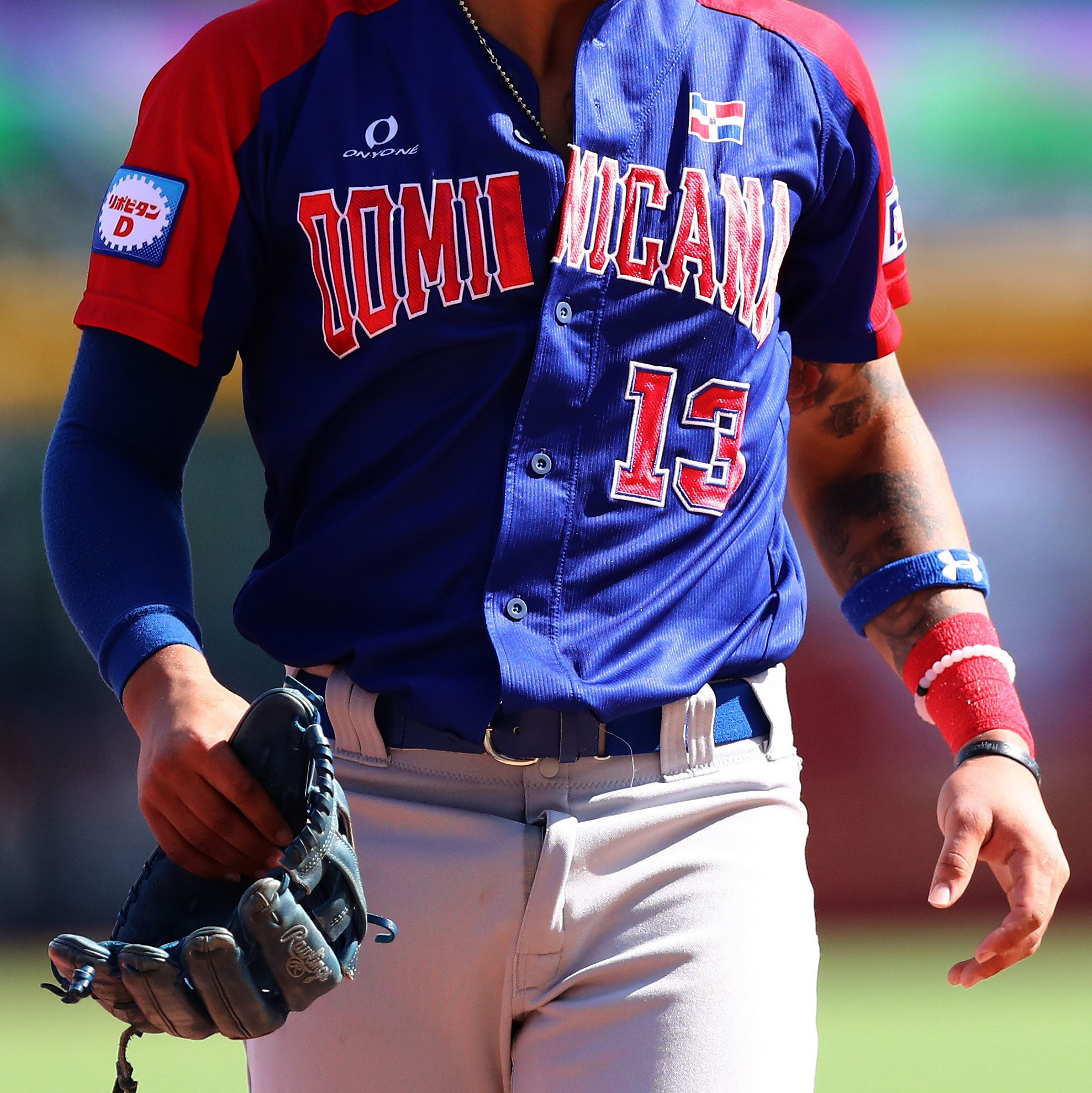 Borg to lead Dominican Republic at Americas Olympic baseball qualifier as Tatis steps aside