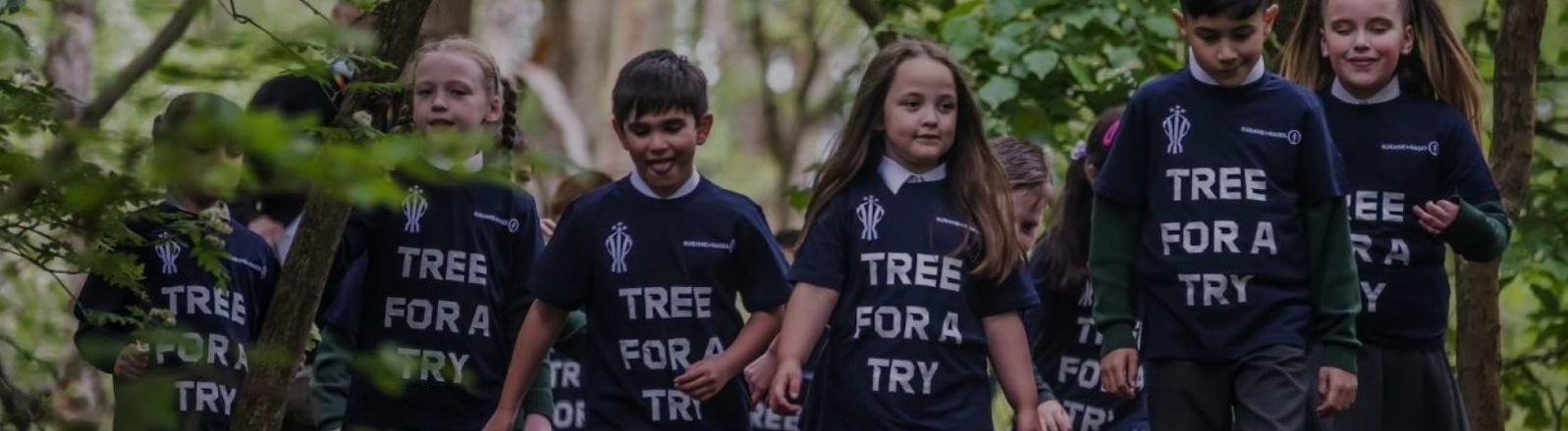 A tree will be planted for every try scored in all competitions at the Rugby League World Cup 2021 to be played in England from October 23 to November 27 ©RLWC 2021