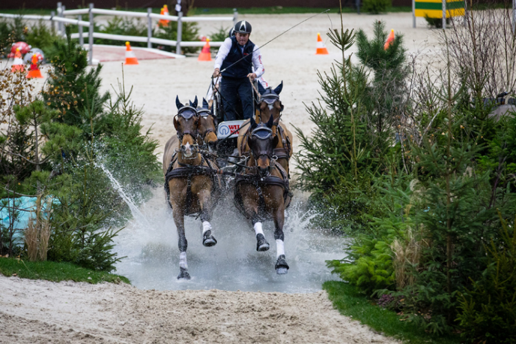 Australian favourite to continue domination at FEI Driving World Cup Final in Bordeaux