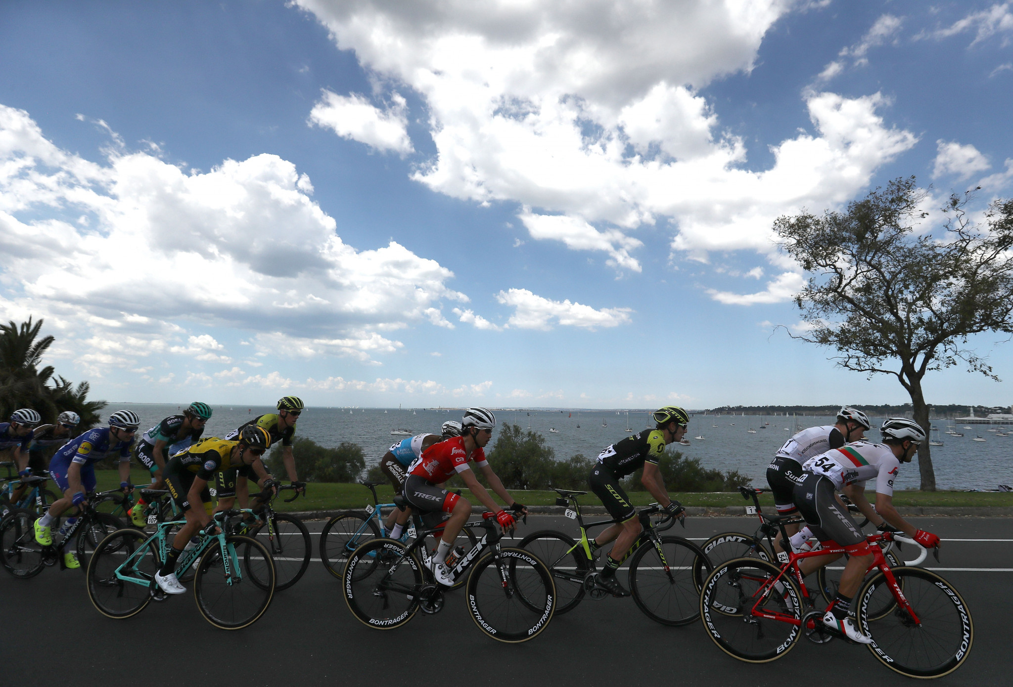 The Cadel Evans Great Ocean Road Race will also not take place in January 2022 ©Getty Images