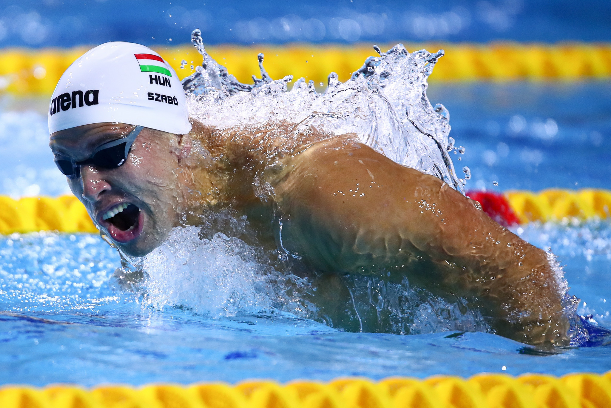 Szabó equals world record at European Short Course Swimming Championships
