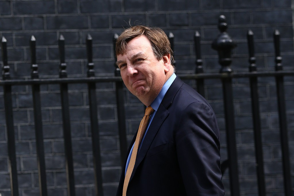 John Whittingdale was appointed as Secretary of State for Culture, Media and Sport after the 2015 United Kingdom General Election