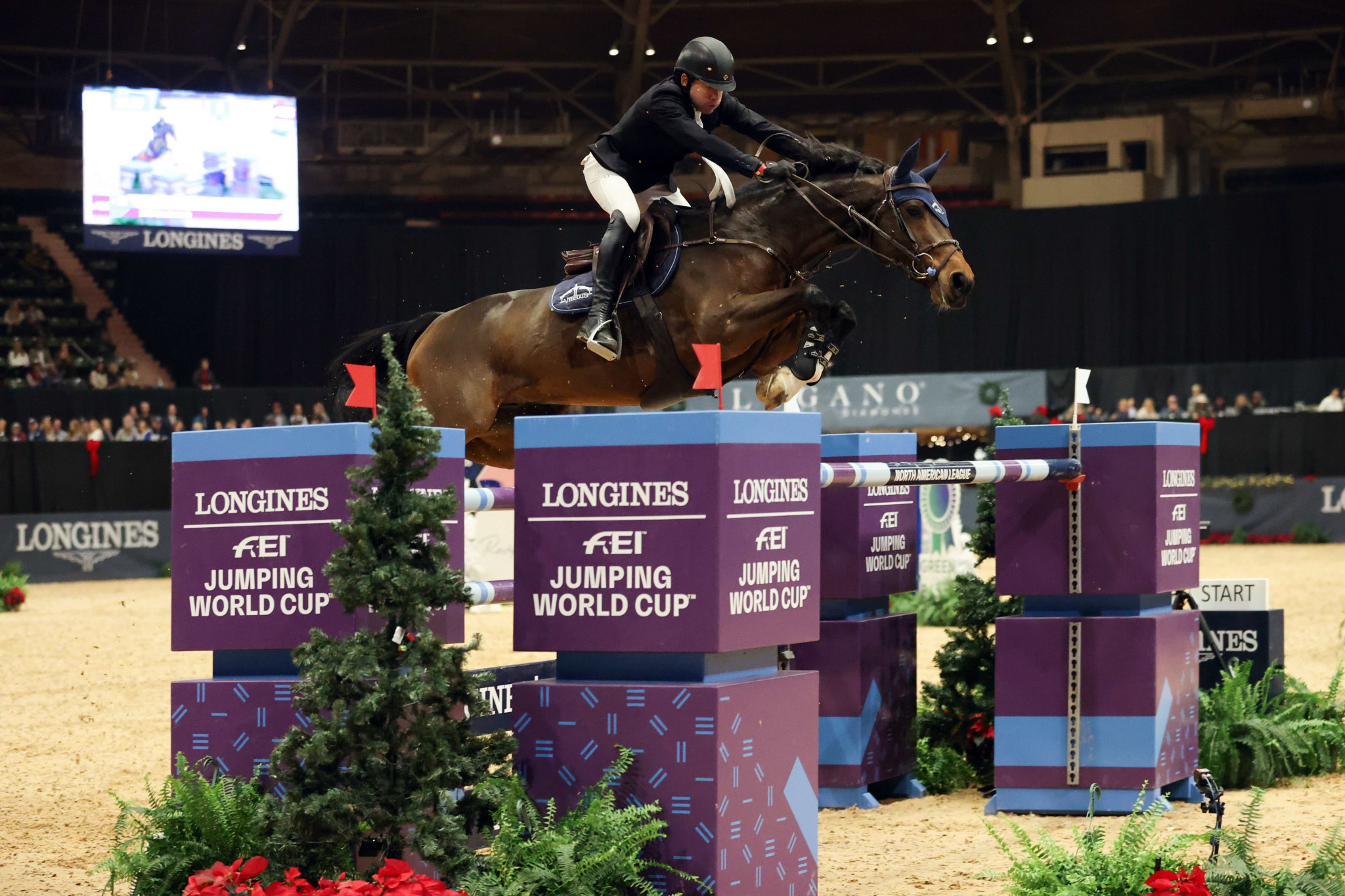 Swail wins third North American League Jumping World Cup event of the season