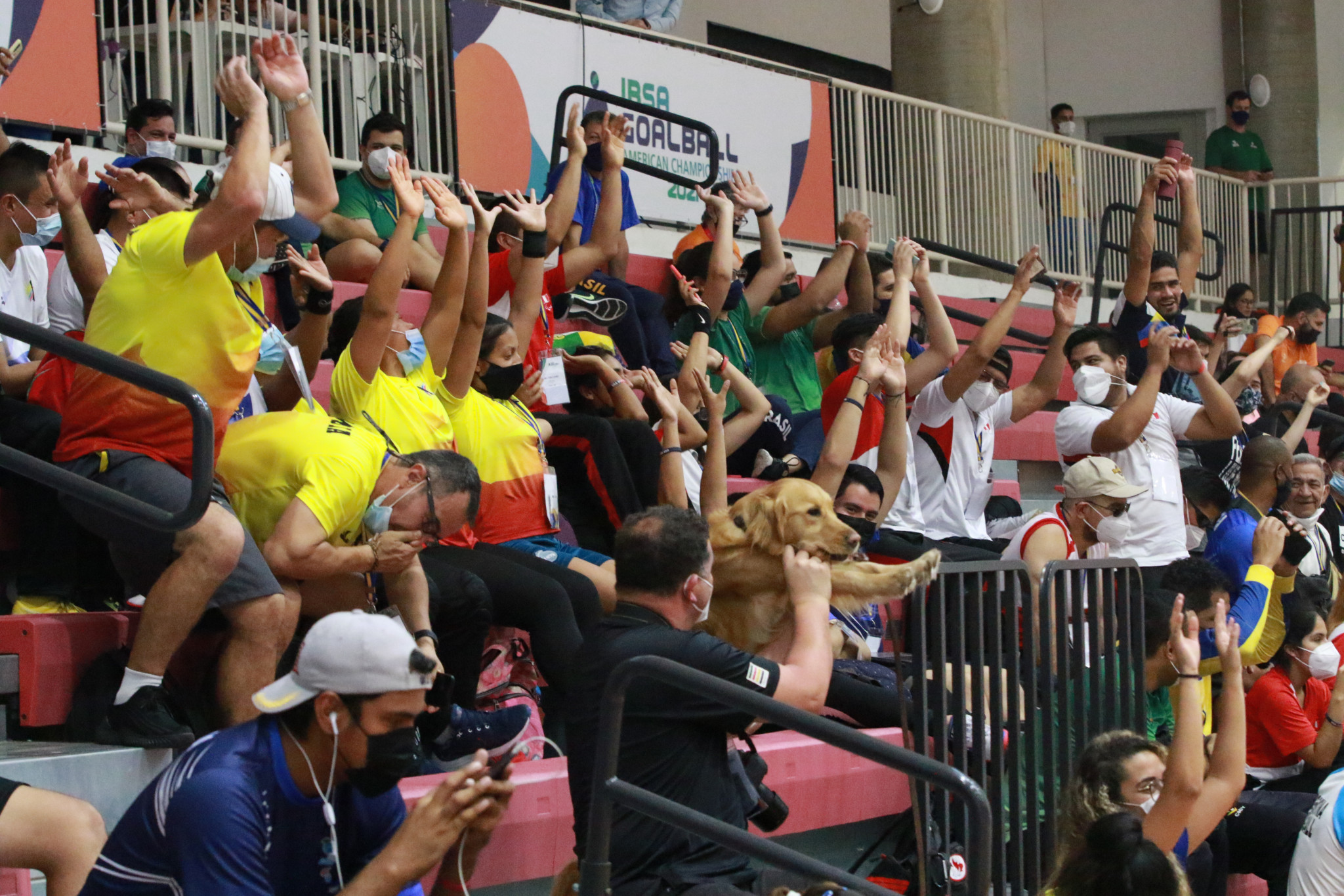 Defending champions Brazil reach men's and women's finals at IBSA Goalball Americas Championships